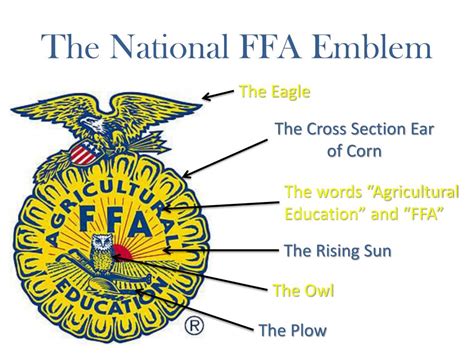 what does the ffa emblem represent
