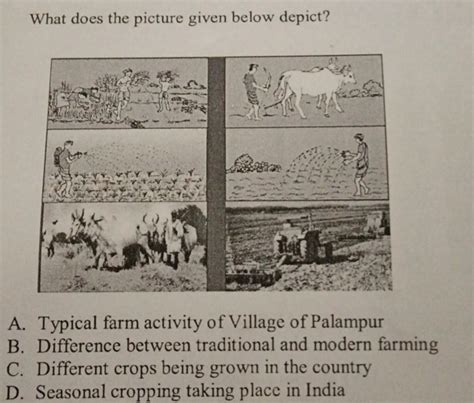 what does the image below depict