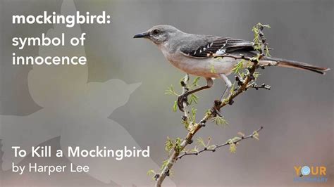 what does the mockingbird symbolize in to kill a mockingbird