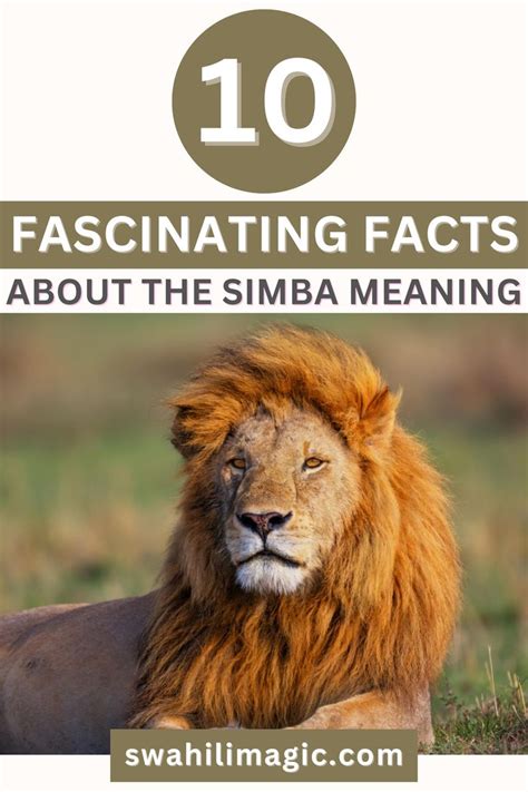 what does the name simba mean