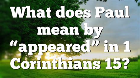 What Does The Paul Mean