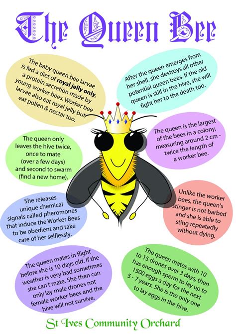 What Does The Queen Bee Mean