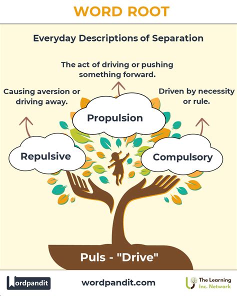 what does the root puls mean