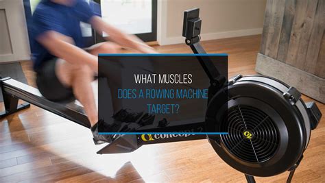 what does the rowing machine target