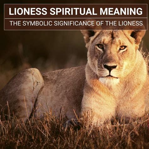 what does the symbol of lioness mean