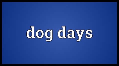 what does the term dog days mean