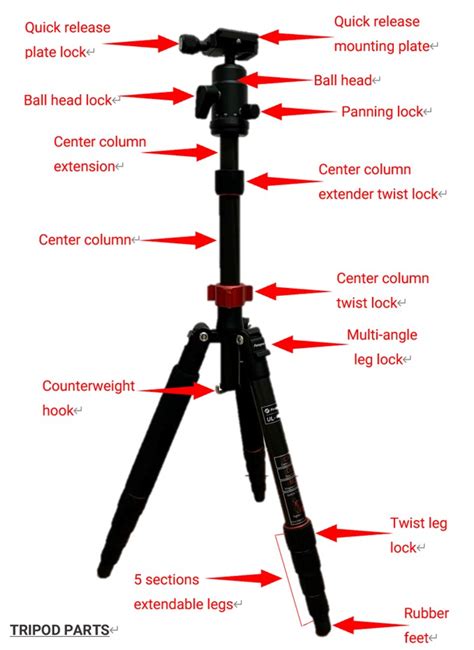 What Does The Tripod Socket Do On A Camera