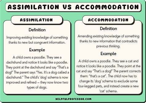 what does the word assimilation mean