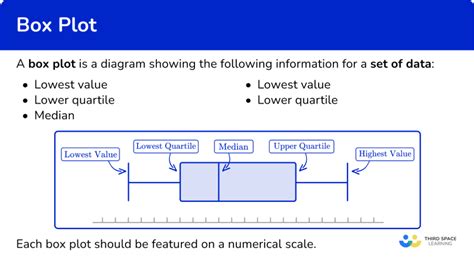 What Does The Word Box Plot