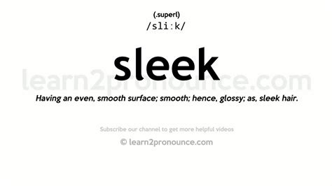 what does the word sleek mean