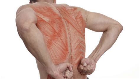 What Does Throwing Out Back Mean