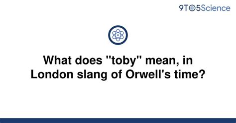 what does toby mean in slang