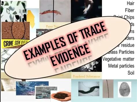 what does trace evidence refer to in forensic science