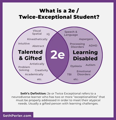 what does twice exceptional mean