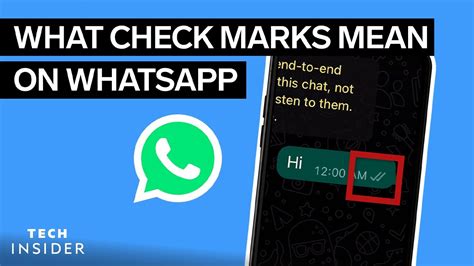 what does two check marks mean in signal