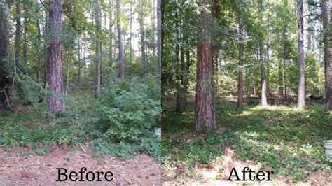 What Does Underbrush Mean