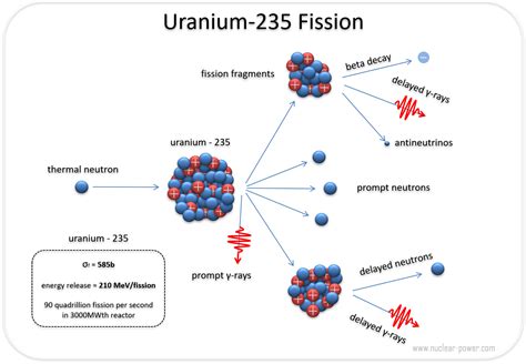 what does uranium 235 fission into