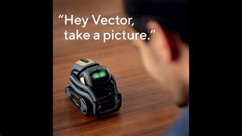 What Does Vector The Robot Do