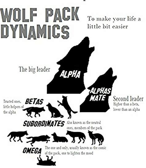 what does wolfpack mean