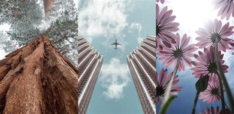 What Does Worms Eye View Mean