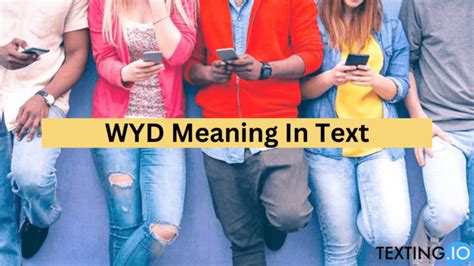 wyd means in texting