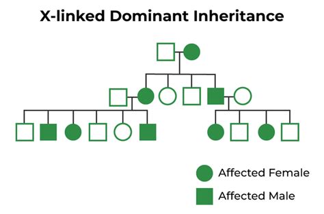 what does x linked dominant inheritance mean