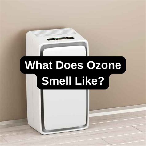 What Does.ozone Smell Like