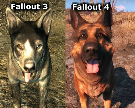 what dog is it in fallout