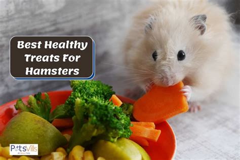 what dog treats are safe for hamsters
