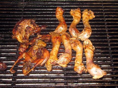 What Eats Chicken Heads