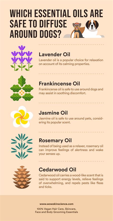 What Essential Oils Are Safe To Diffuse With A Dog In The House