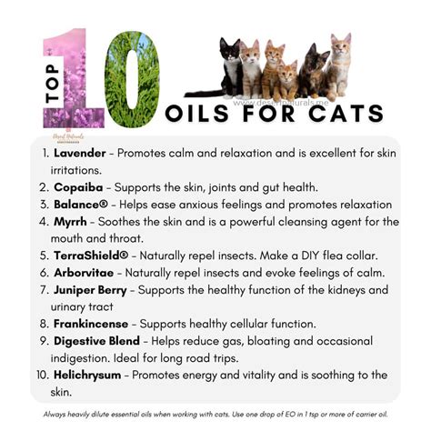 What Essential Oils Are Safe To Diffuse With Cats