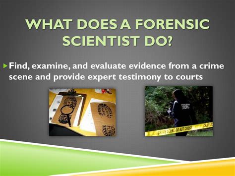 What Exactly Does Forensic Scientist Do