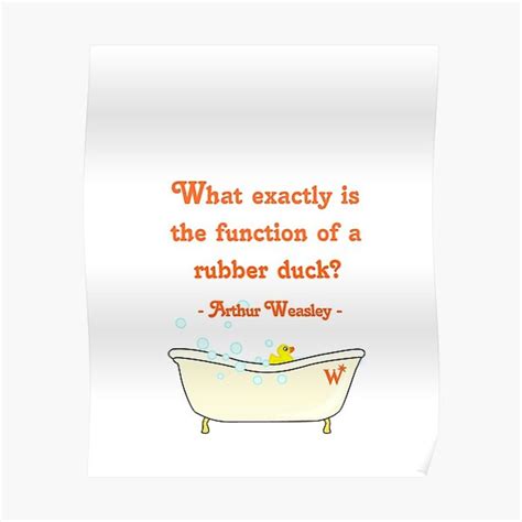 what exactly is the function of a rubber duck