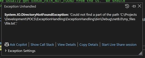 What Exception To Throw When Not Found C#