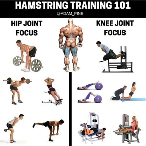 what exercises primarily target hamstrings