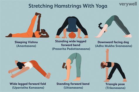 what exercises stretch your hamstrings