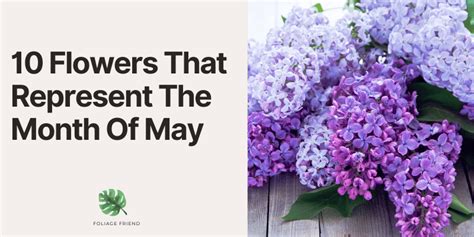 What Flower Does May Represent