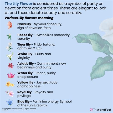 what flower represents may