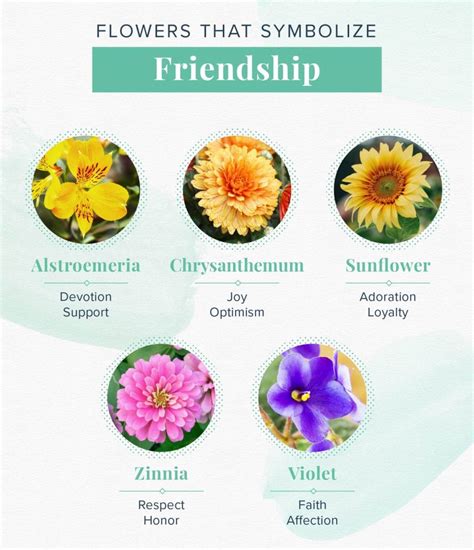 What Flower Represents Togetherness