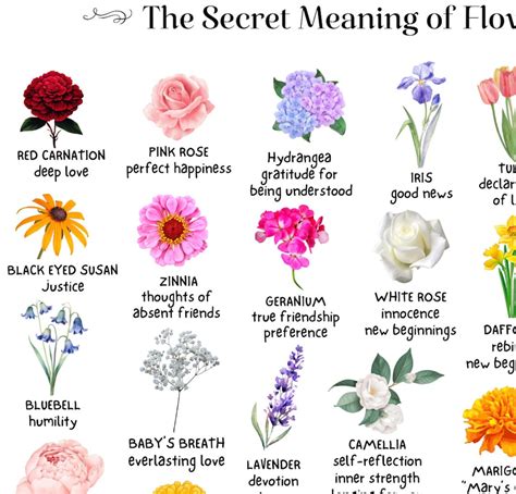 What Flower Represents What