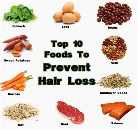 What Food To Eat For Thinning Hair  A Guide To Healthier And Fuller Hair