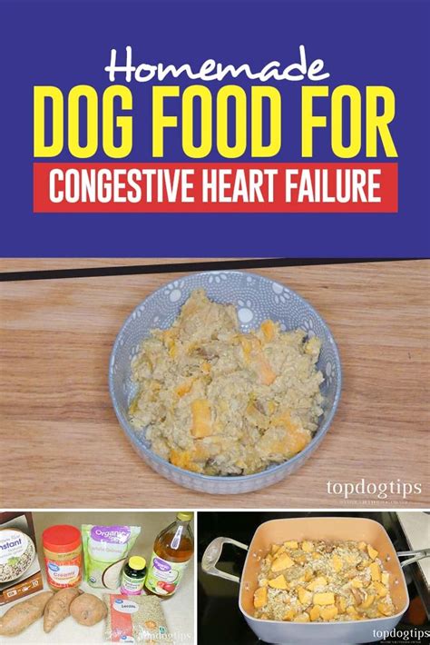  42 Essential What Food To Give Dog With Heart Disease Best Apps 2023
