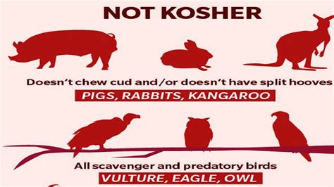 what foods are not allowed on the kosher diet