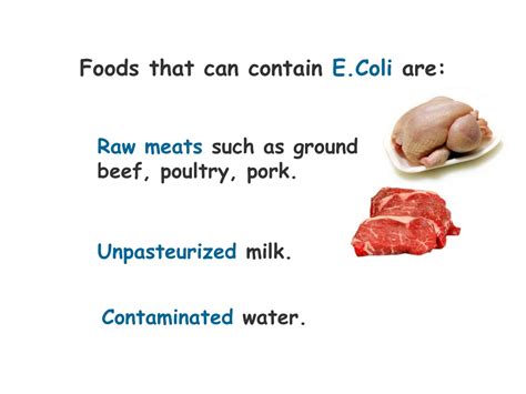 what foods carry e coli