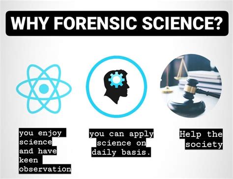what forensic science study