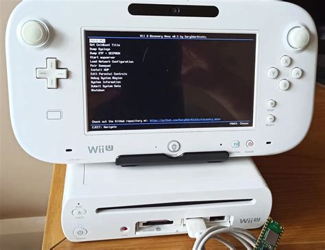 What Format Does Wii U Use