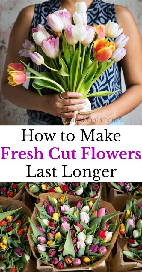 What Fresh Cut Flower Lasts The Longest