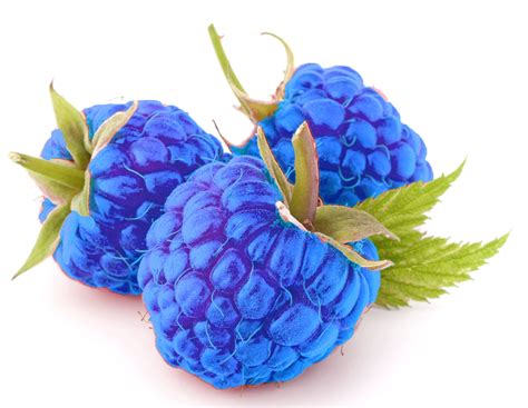 what fruit is blue raspberry based on