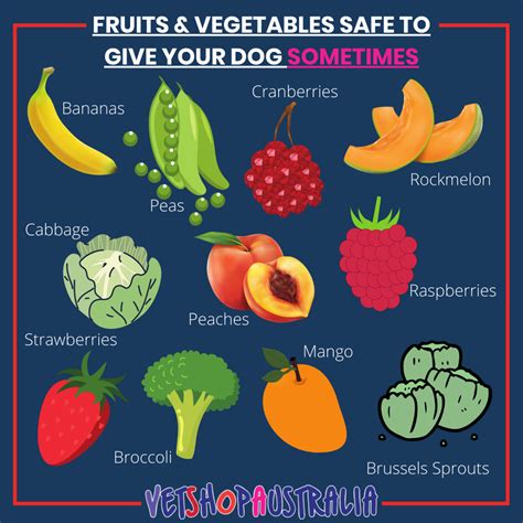 what fruits and veggies can dogs eat safely